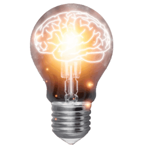 Propiedad Intelectual e Industrial